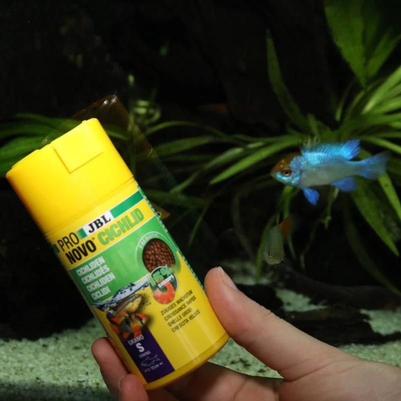 JBL Pronovo Cichlid Grano S - Image 4