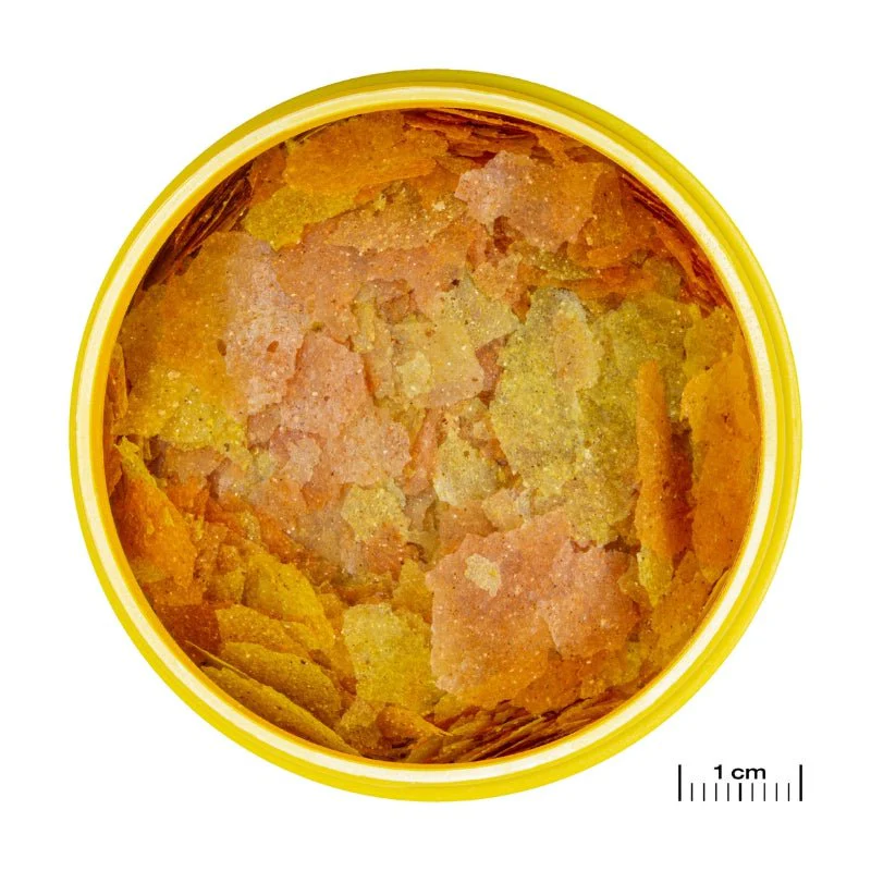 JBL ProNovo Color Flakes M (Colour Enchancing Flakes for Tropical Fishes) - Image 2