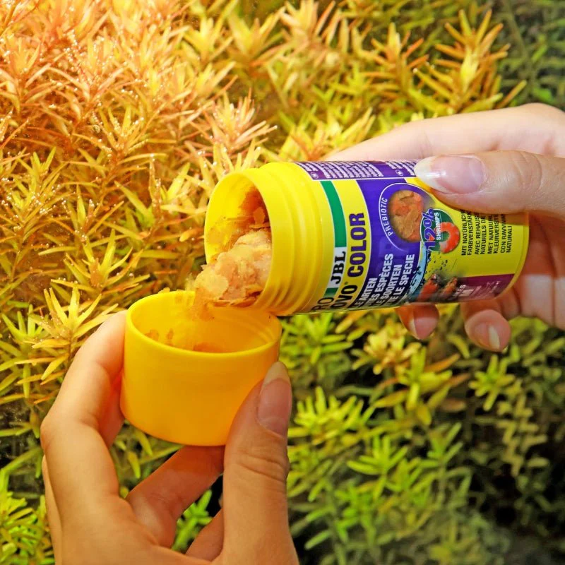 JBL ProNovo Color Flakes M (Colour Enchancing Flakes for Tropical Fishes) - Image 3