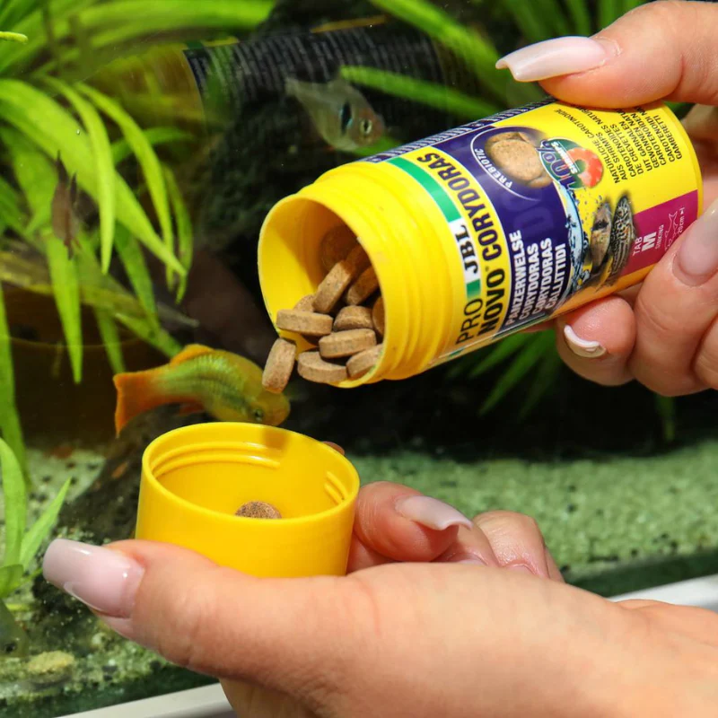 JBL ProNovo Corydoras Tab M (Tablet Food With Extra Spirulina) - Image 4