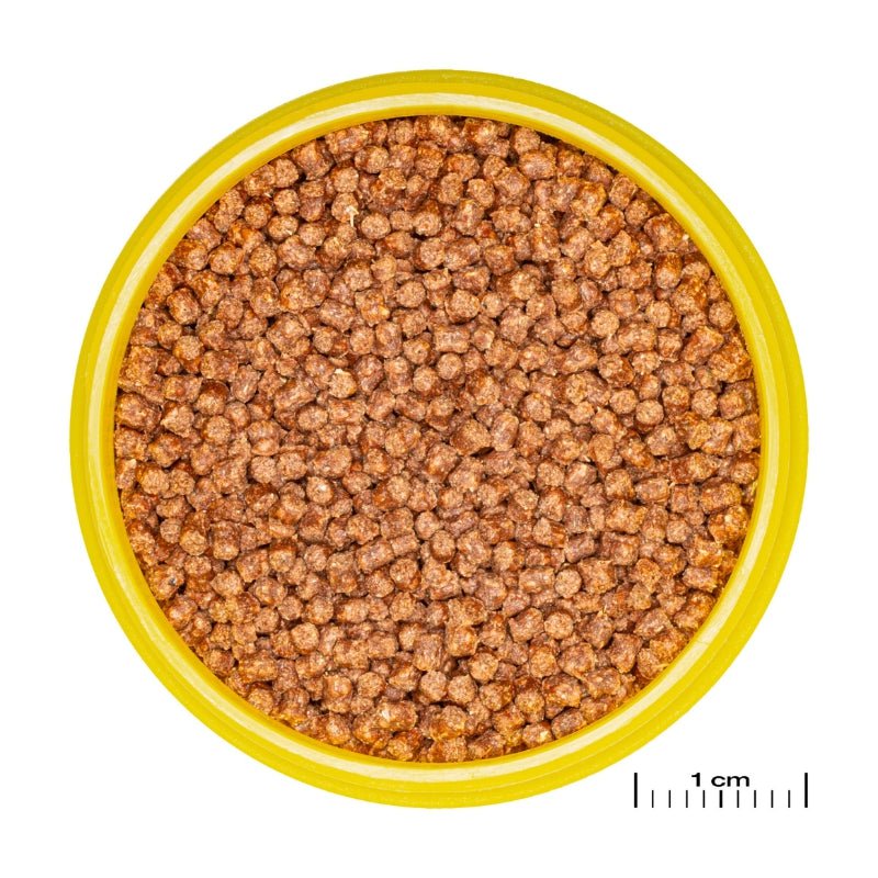 JBL ProNovo FanTail Grano S / M (Colour Enhancing Sinking Pellet For Goldfish) - Image 2