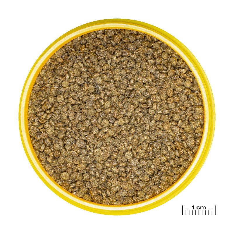 JBL ProNovo Gourami Grano S (Colour Enhancing Diet) - Image 2