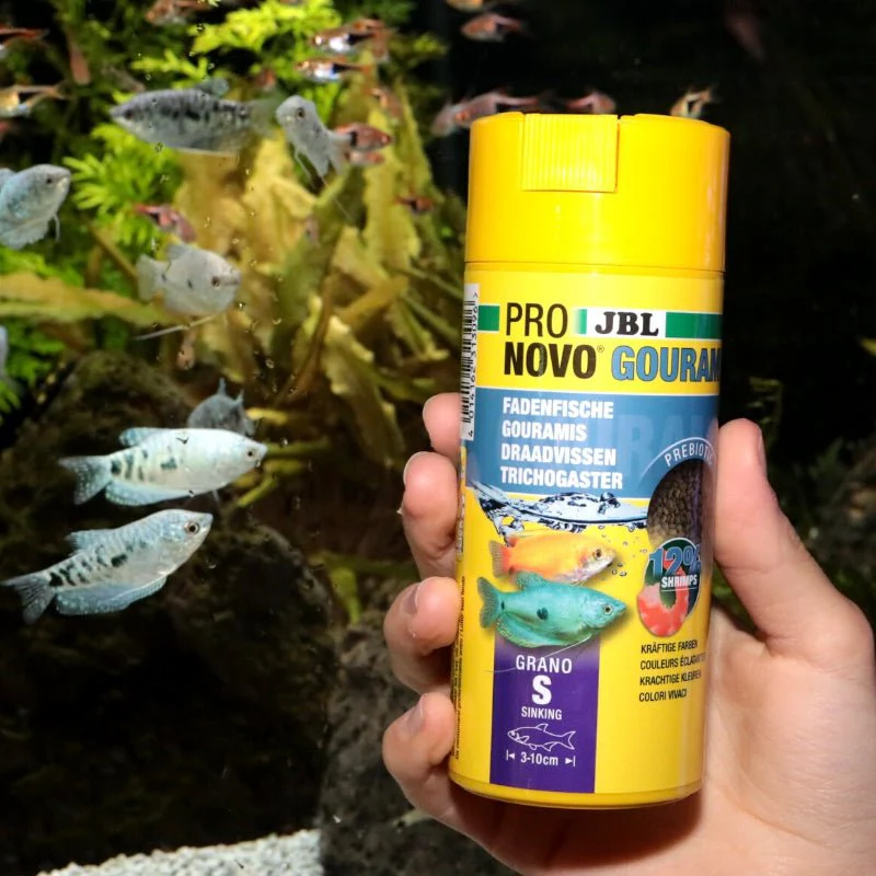 JBL ProNovo Gourami Grano S (Colour Enhancing Diet) - Image 5