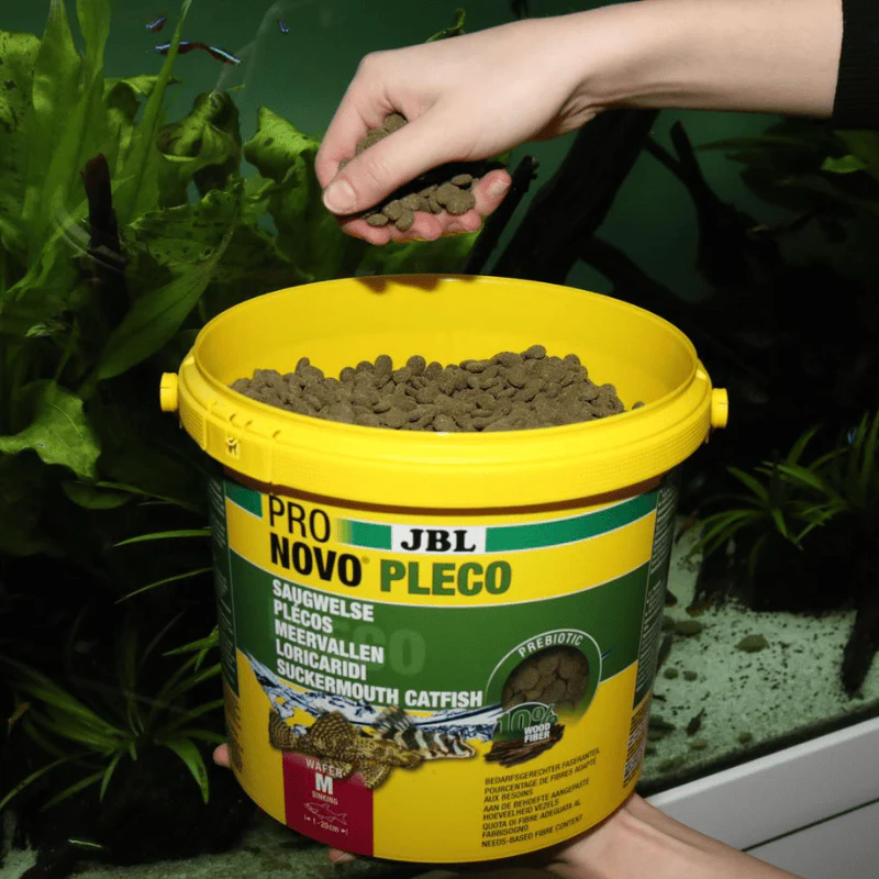 JBL ProNovo Pleco Wafer M/XL (Plecos Food With Natural Wood Fibres) - Image 11