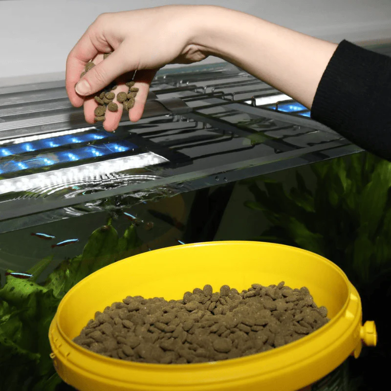 JBL ProNovo Pleco Wafer M/XL (Plecos Food With Natural Wood Fibres) - Image 3
