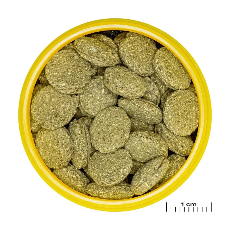 JBL ProNovo Pleco Wafer M/XL (Plecos Food With Natural Wood Fibres) - Image 5
