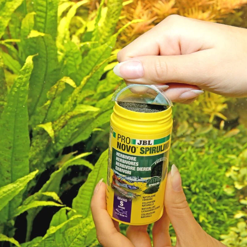 JBL ProNovo Spirulina Grano S / M (High Quality Spirulina Diet) - Image 2