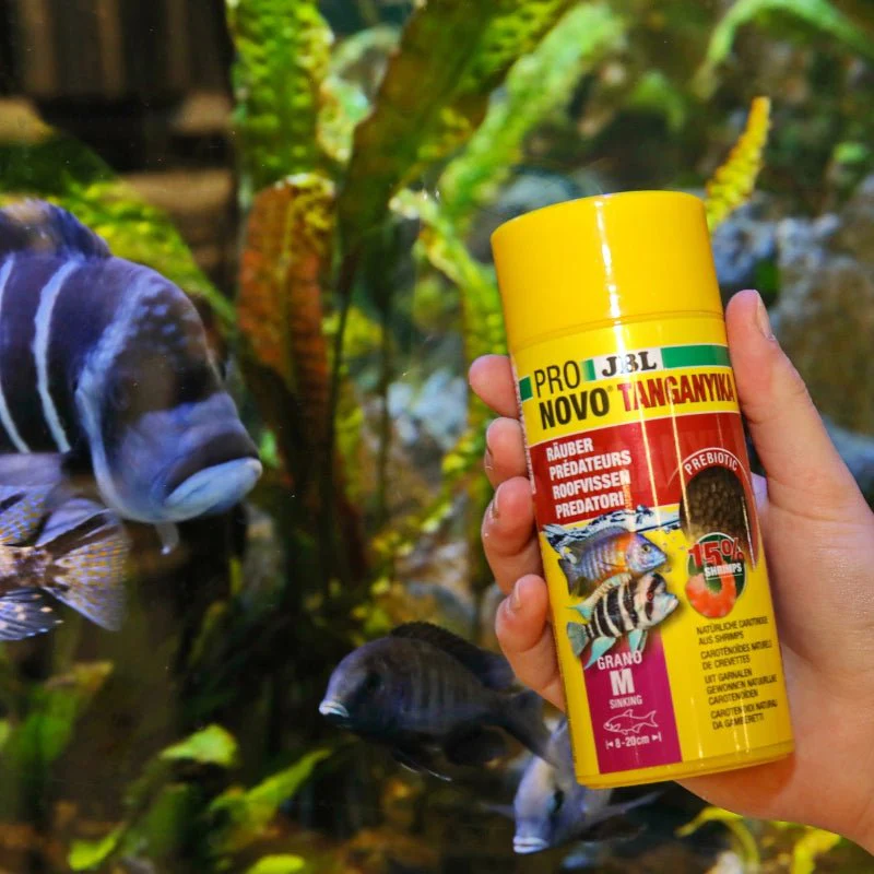 JBL Pronovo Tanganyika Grano M - (Granulated aquarium staple food for predatory cichlids) - Image 4