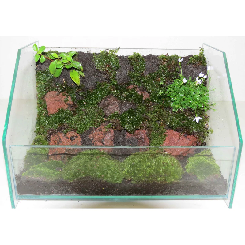 JUN Modeling Soil 1L (for Terrariums & Kokedama) - Image 3