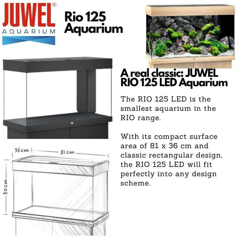 JUWEL Rio Aquariums (Rio 125/180/240/300/400 Tank Set) - Image 5
