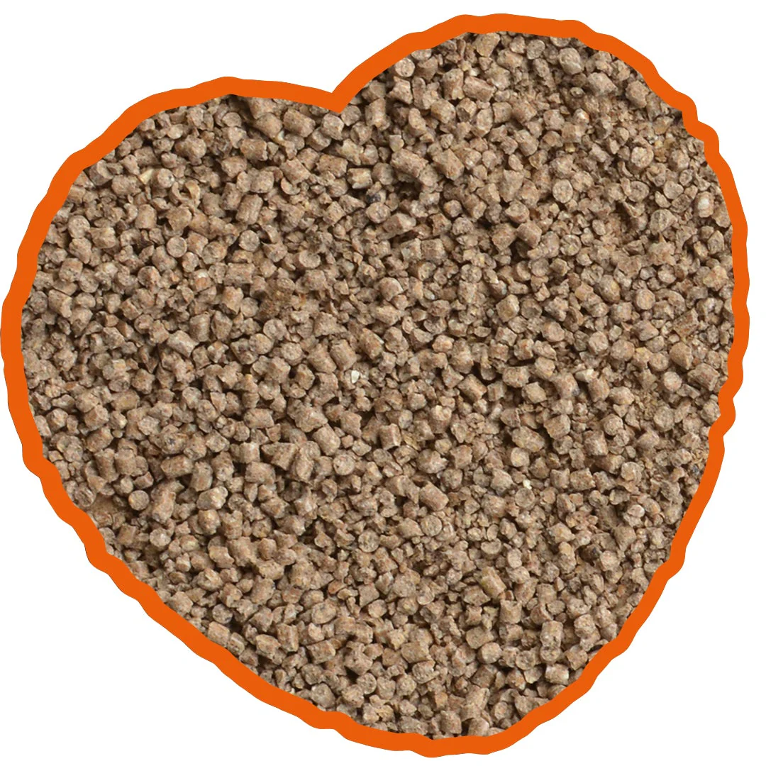 DUVO PLUS Chick crumbs 5kg - Image 4