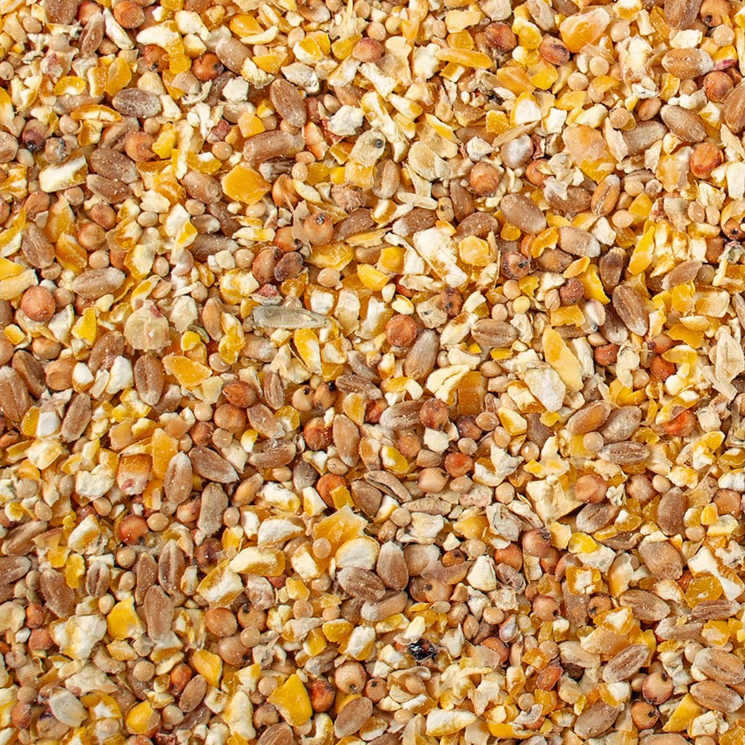 DUVO PLUS Chick & quail mix 5kg - Image 4
