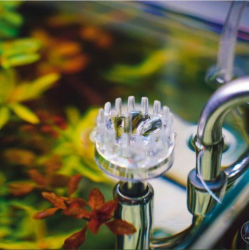 LITIAQUARIA Stainless Steel Surface Cleaner (9/ 12/ 16mm) - Image 4