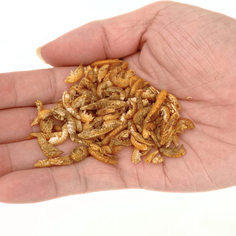 Nature Grains! Gammarus (550/2600ml) - Image 4