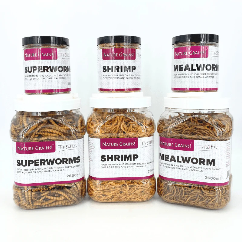 Nature Grains! Shrimp (550ml/2600ml) - Image 4