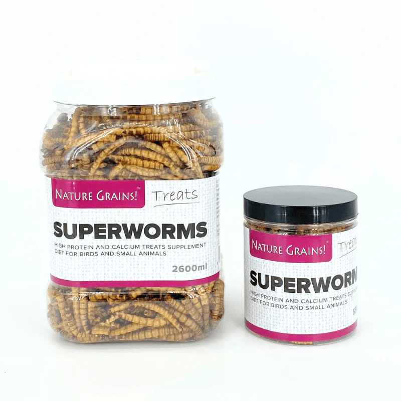 Nature Grains! Superworms 550ml/2600ml - Image 3