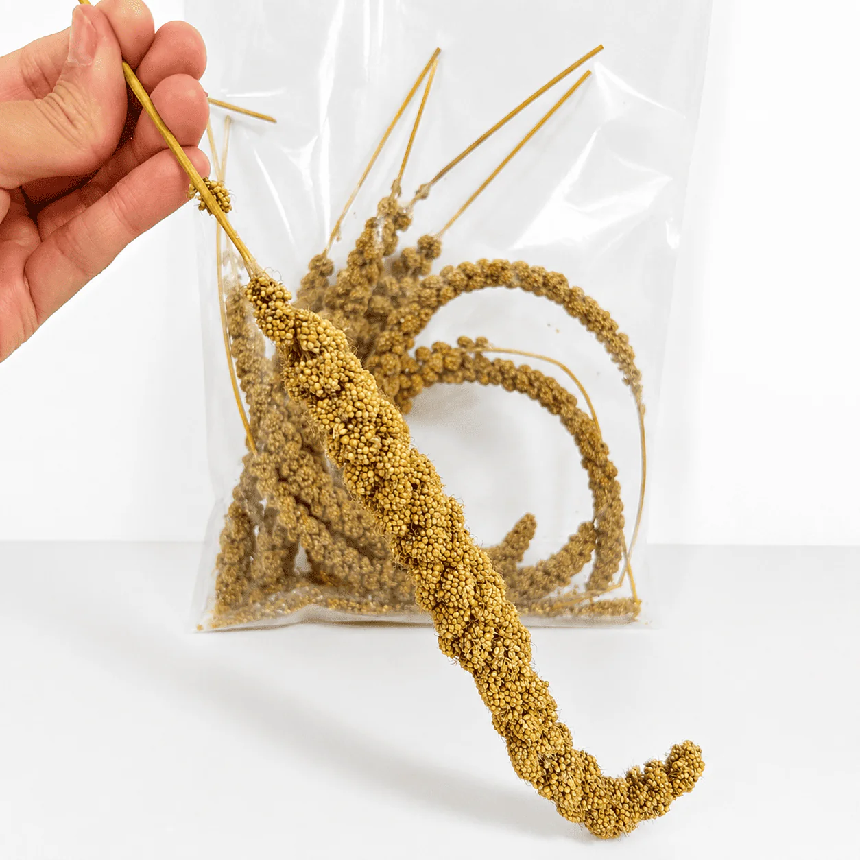 NF Millet Spray 150g for Pet Birds - Image 2