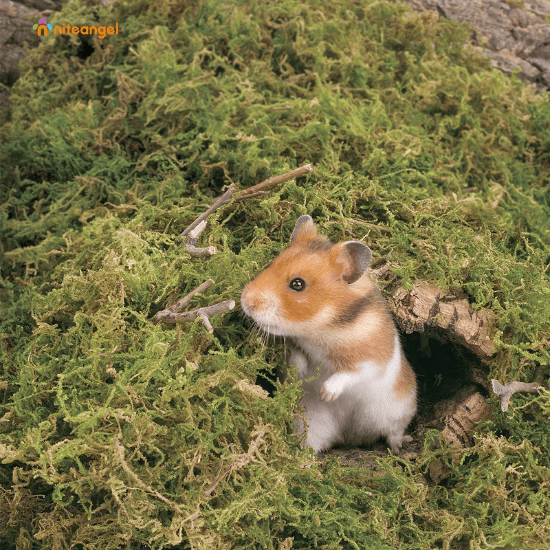 Niteangel Forest Moss Bedding Nest - Image 3