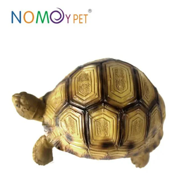 NOMOYPET A5 Turtle Decoration - Image 3