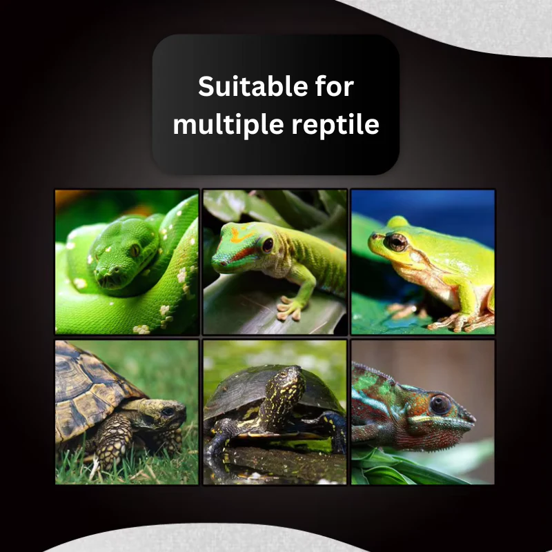 NOMOYPET NJ-10 Reptile Clamp Lamp (adjustable) - light bulb not included - Image 5