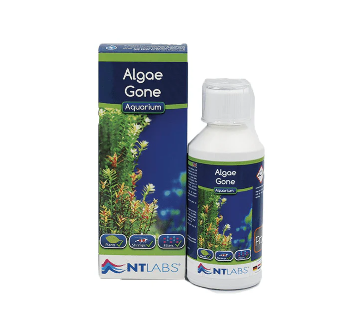 NT LABS Aquarium Algae Gone (shrimp safe!) - Image 2