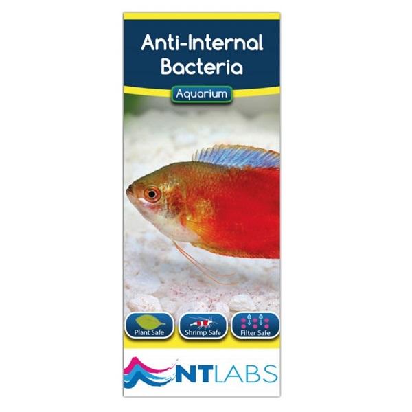 NT LABS Aquarium Anti-Internal Bacteria - Image 3