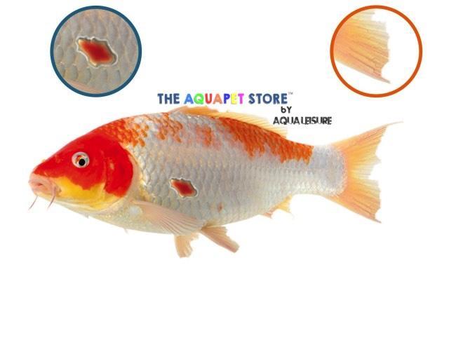 NT LABS Koi Care Paramedic Kit - Image 3