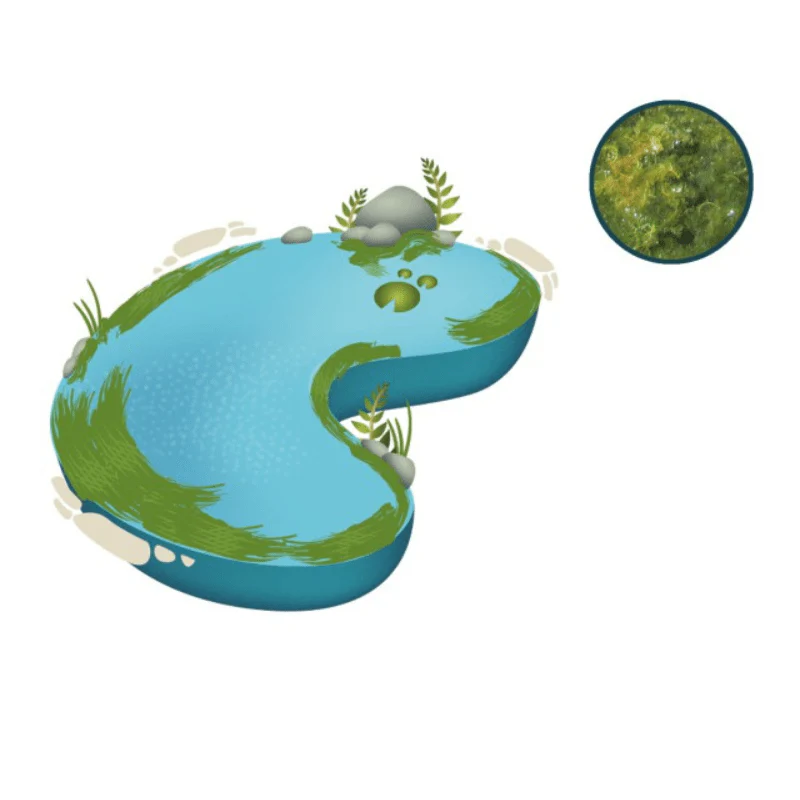 NT LABS Pond Blanketweed Balance 400g - Image 3