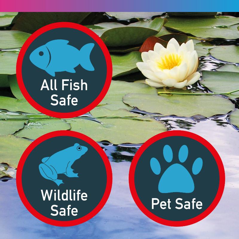 NT LABS Pond Blanketweed Balance 400g - Image 4