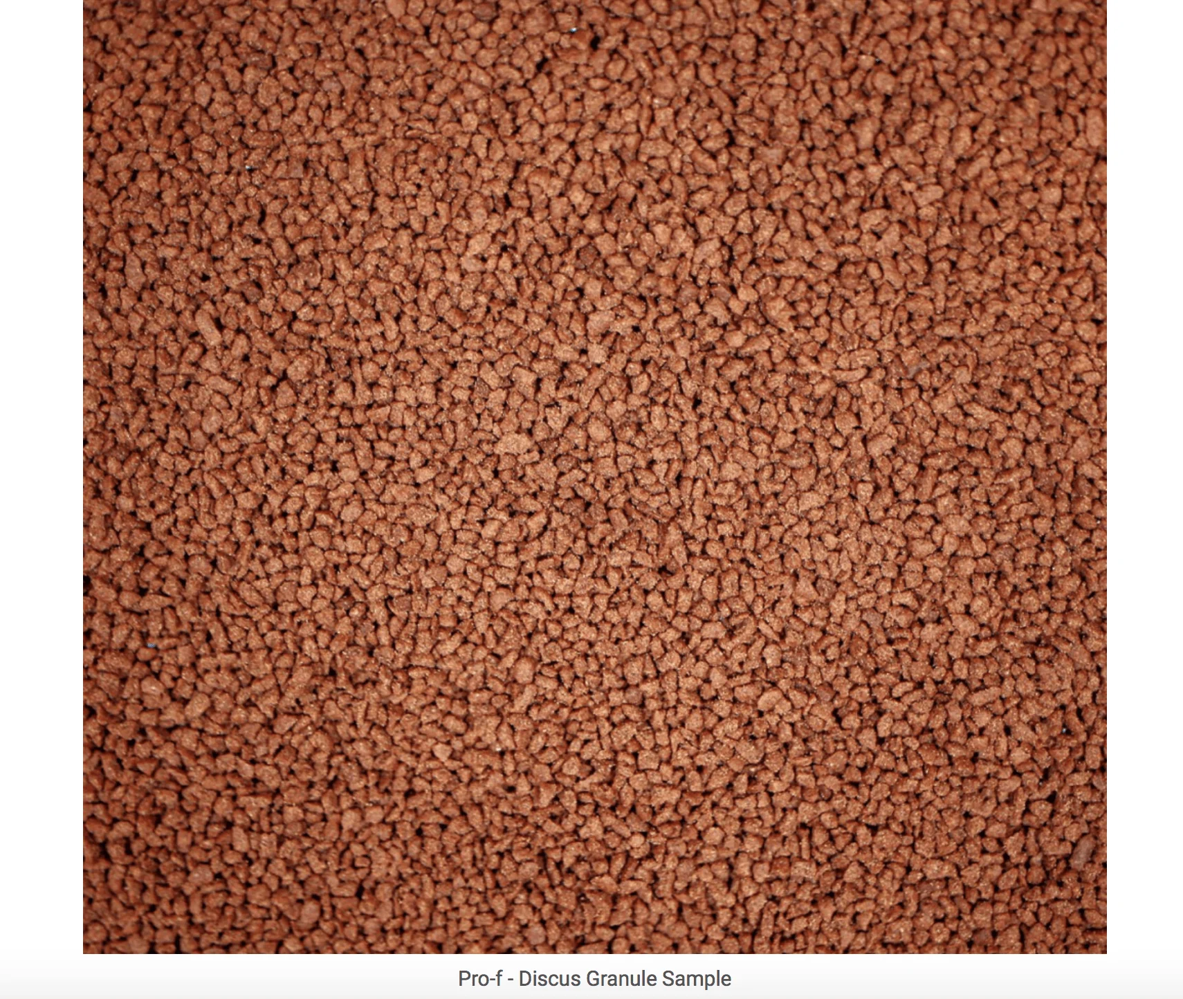 NT LABS Pro-f Discus (sinking granules, high protein) - Image 3