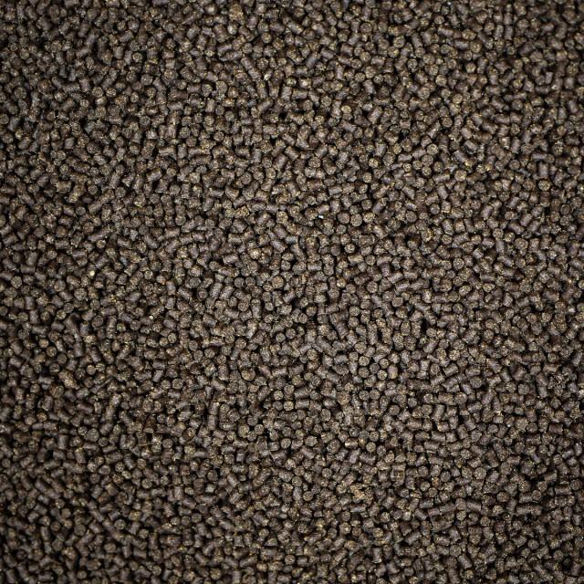 NT LABS Pro-f Fancy Goldfish (sinking pellet) - Image 3