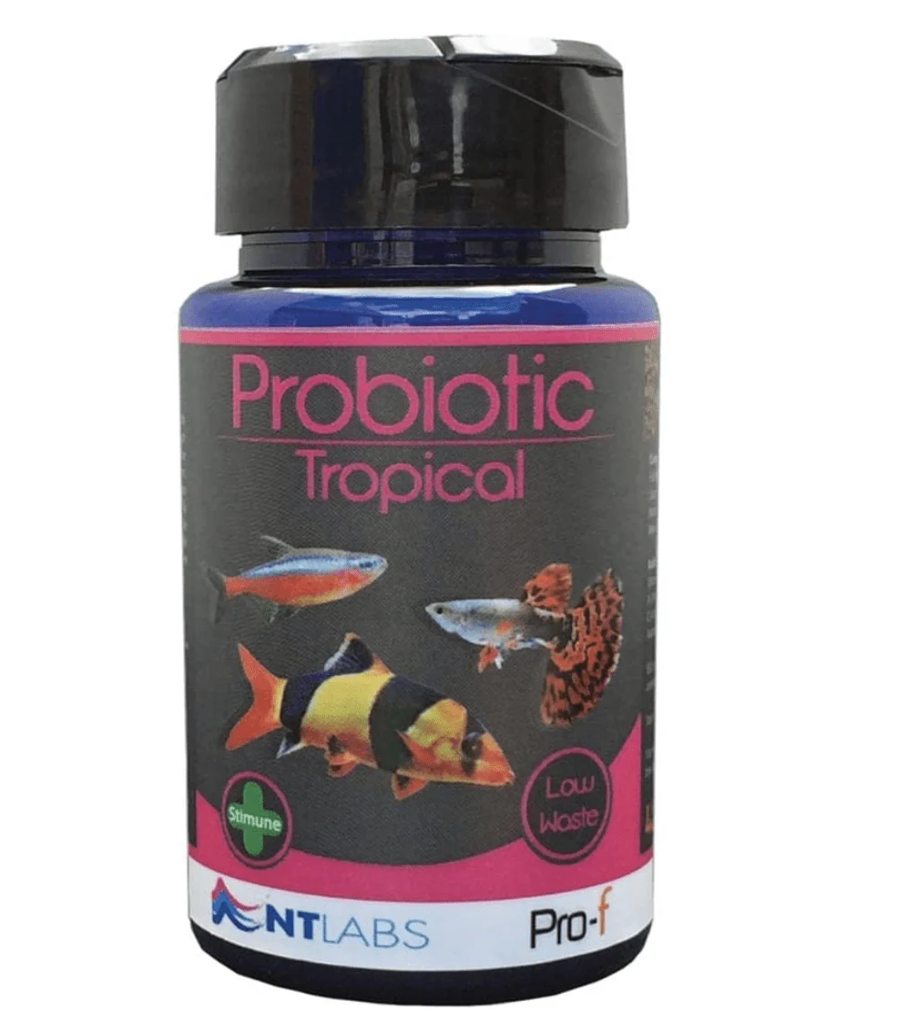 NT LABS Pro-f Probiotic Tropical 45g / 120g (better digestion) - Image 4