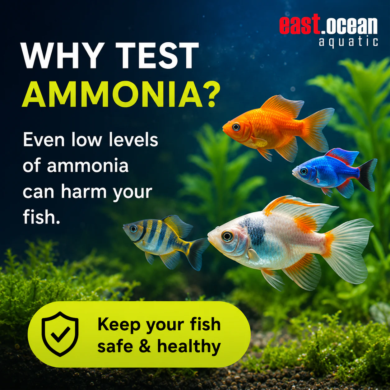 NT Labs Ammonia Test Kit - Image 4