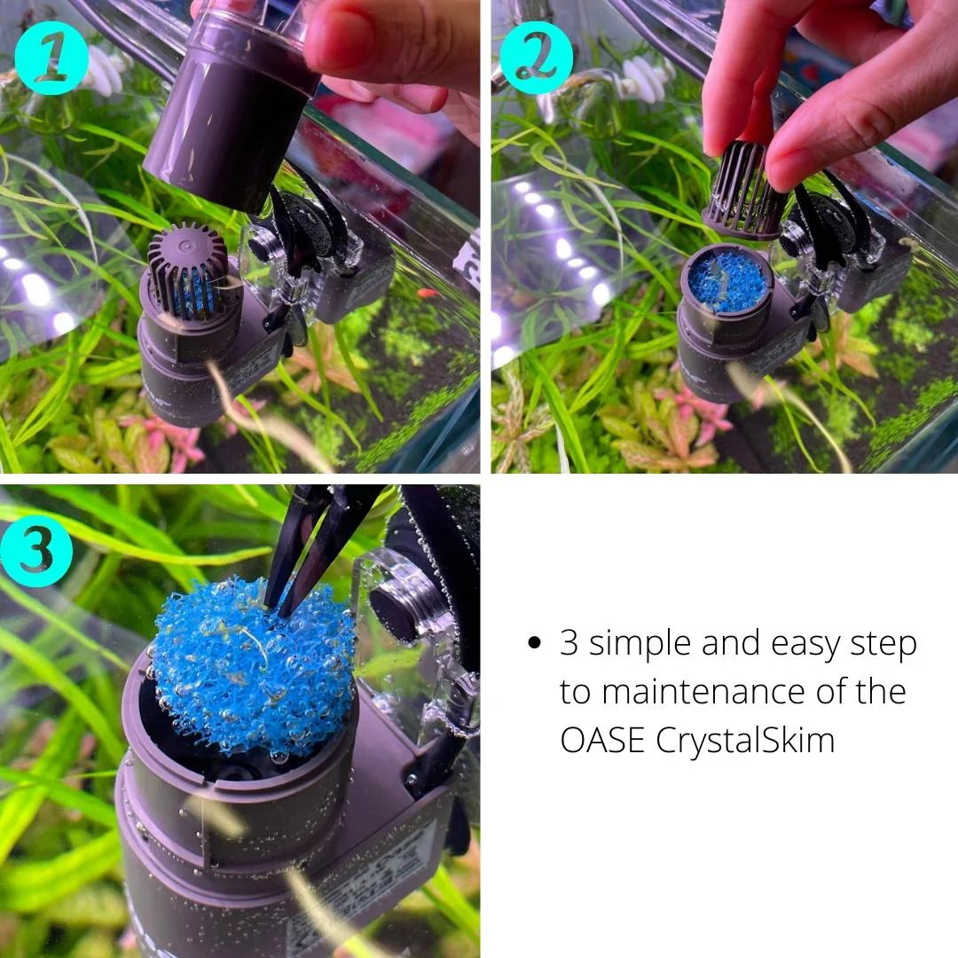 OASE Surface Skimmer CrystalSkim (350/600) - Image 6