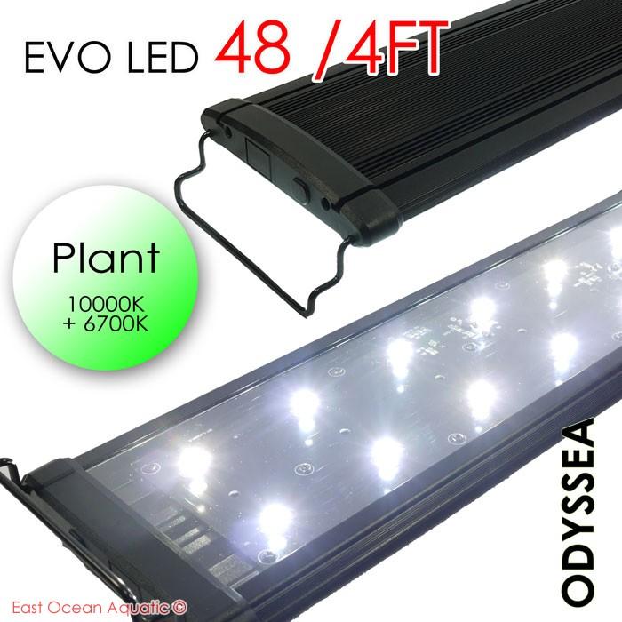 ODYSSEA EVO Led 48" 96W (PLANT)