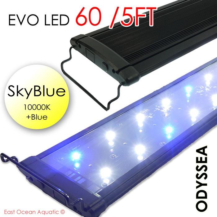 ODYSSEA EVO Led 60" 132W Skyblue (10000K+blue)