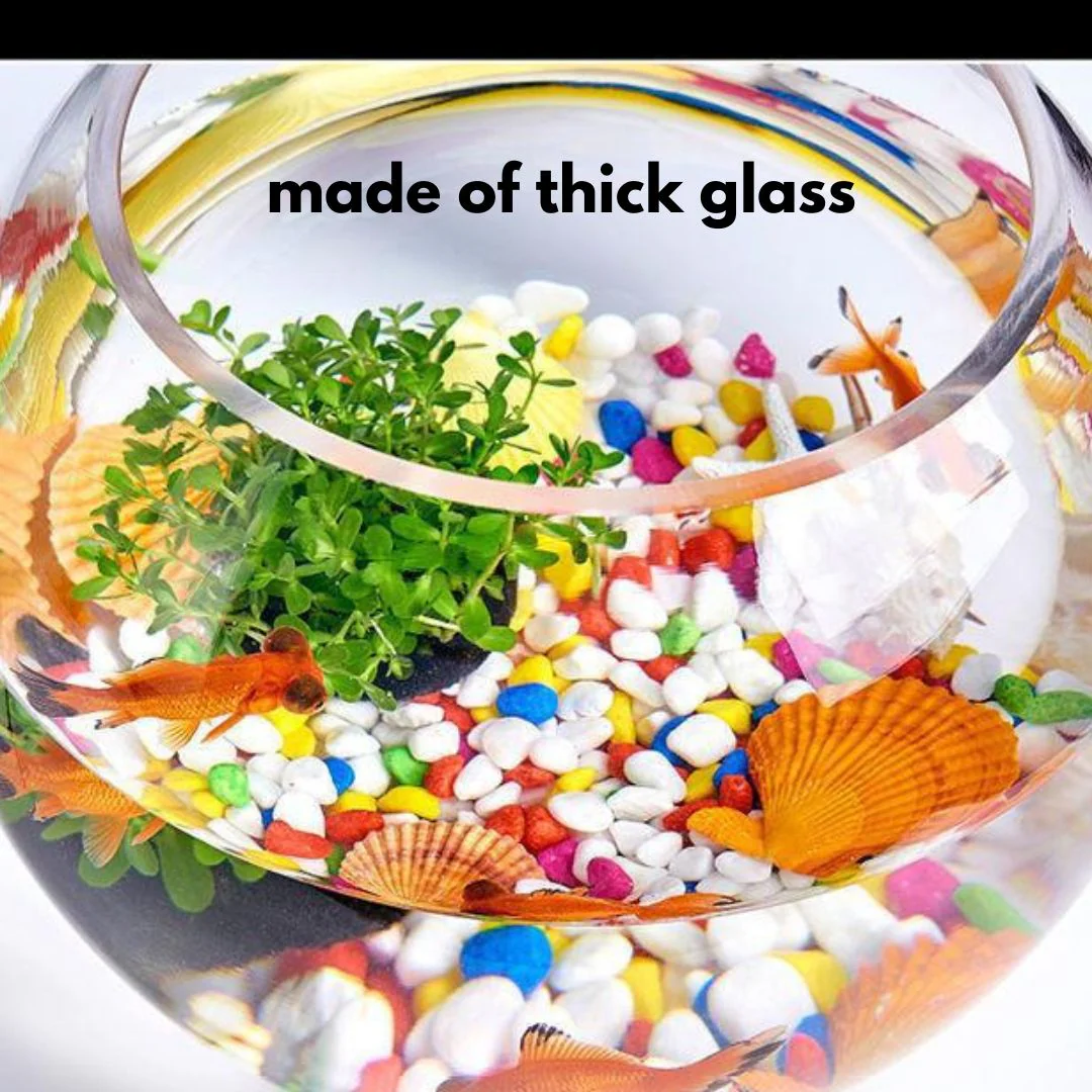 OWA High Clarity Glass Bowl  (15B/20B/25B/30B/35B) (15-35cm) - Image 2