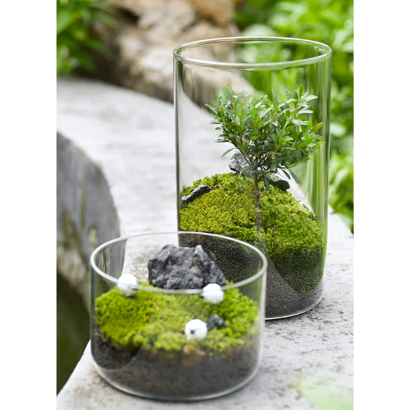 OWA Glass Cylinder (Various size)