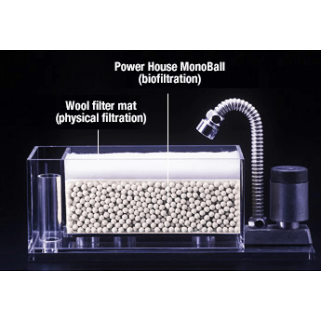 POWERHOUSE MonoBall  (500ml/3L) - Image 3