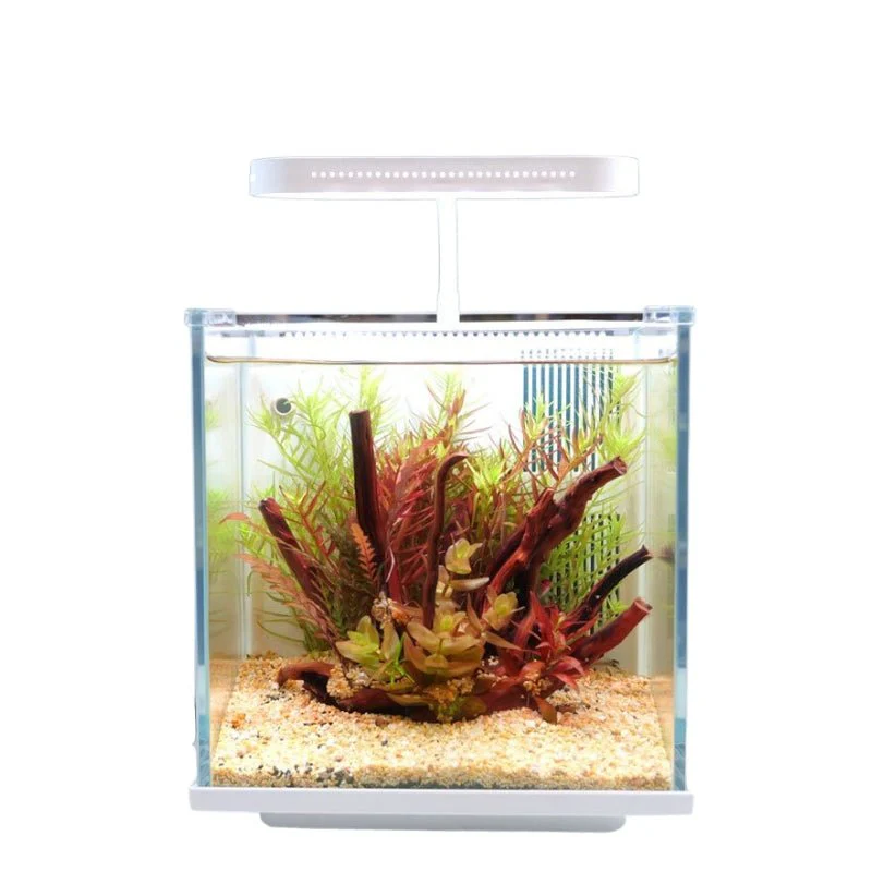QANVEE BL-200PG Desktop Aquarium (IOS)