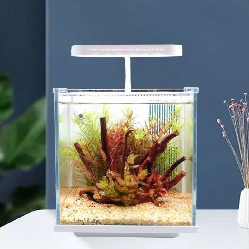 QANVEE BL-200PG Desktop Aquarium (IOS) - Image 6