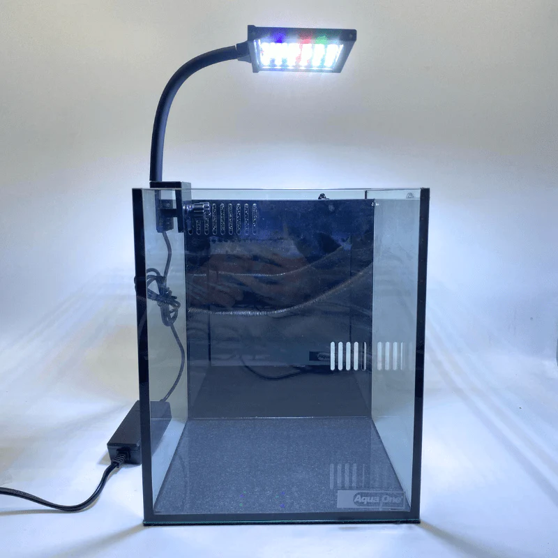 ROXIN X2-200/300/400/500 Plus Colourful Clip lamp - Image 4