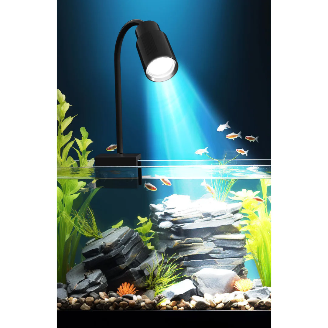 ROXIN Y1 Spotlight (White led) for biotope scape - Image 3