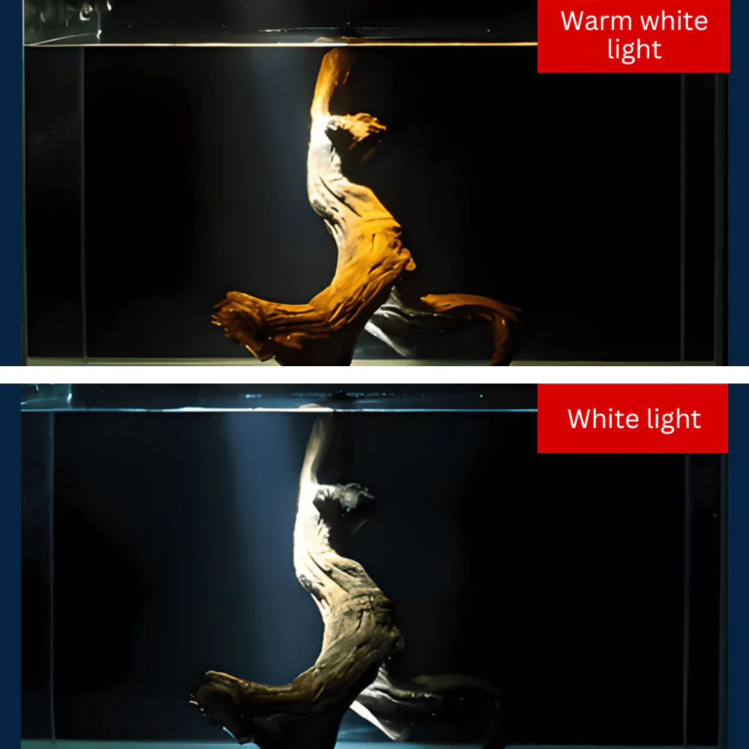 ROXIN Y1 Spotlight (White led) for biotope scape - Image 4