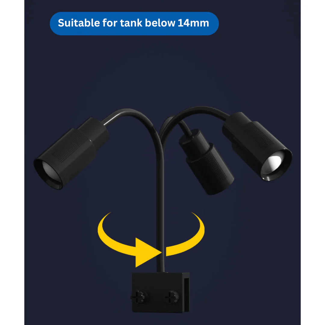 ROXIN Y1 Spotlight (White led) for biotope scape - Image 5