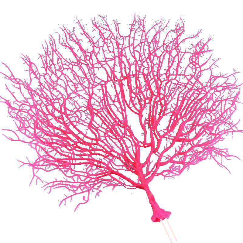 RQ2018 Sea Fan Aquarium Decoration 48x48xm (assorted colour) - Image 2