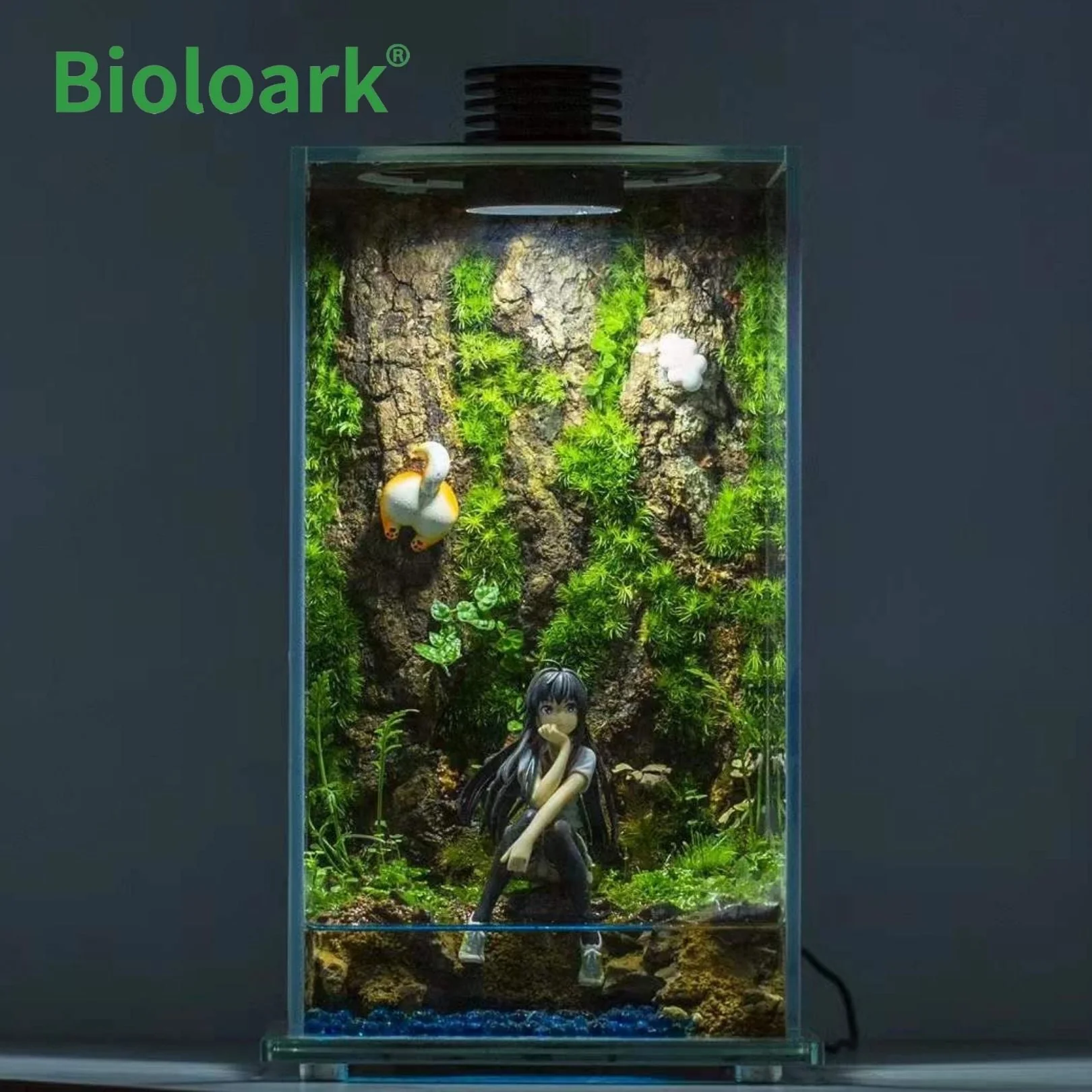 BIOLOARK - Enclosed Terrarium Tank (FD-200 / FD-250) - Image 4