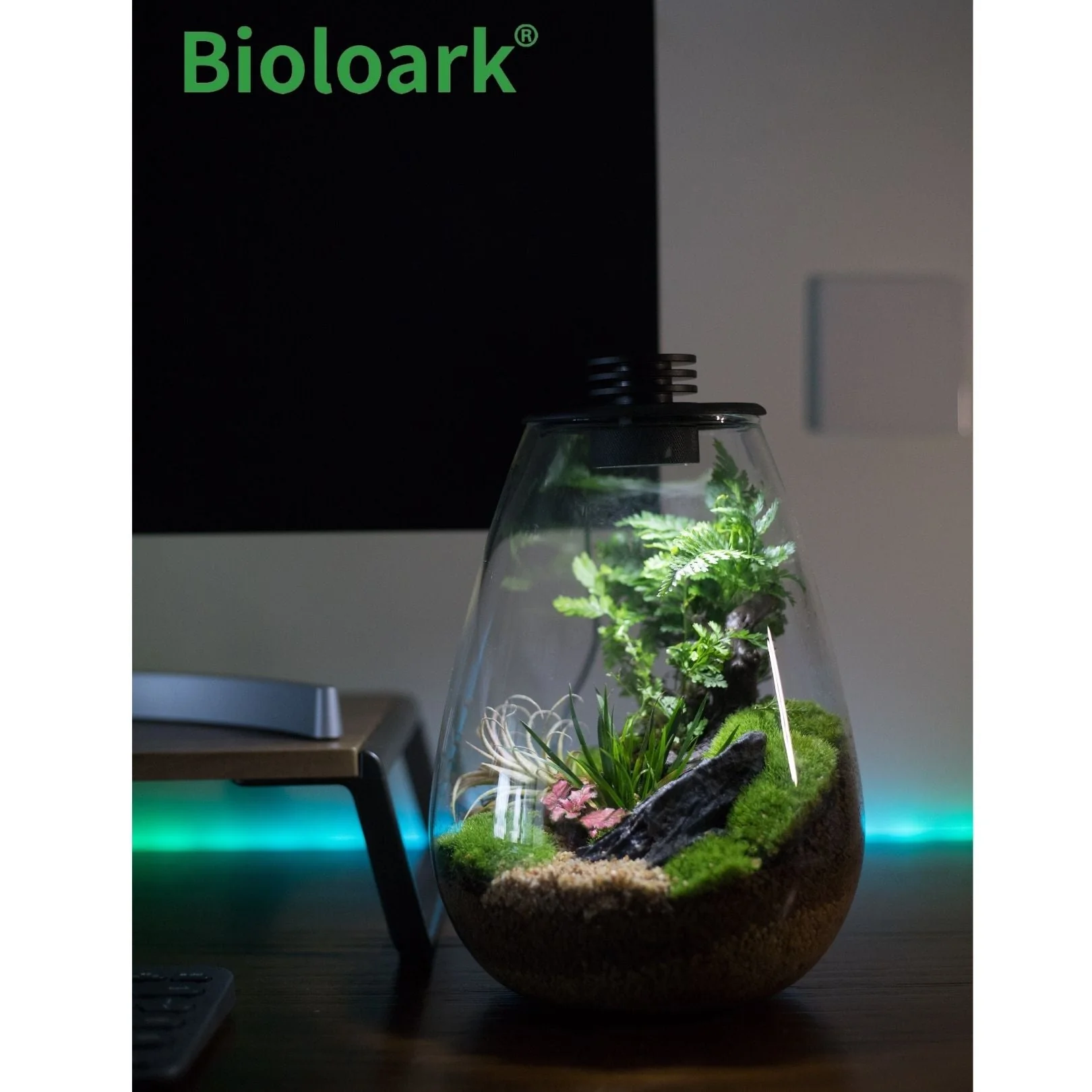 BIOLOARK - Tear Drop Terrarium (SD-175 / SD-200) - Image 10