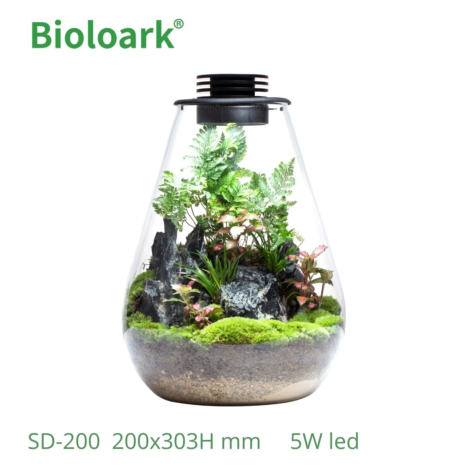BIOLOARK - Tear Drop Terrarium (SD-175 / SD-200) - Image 3