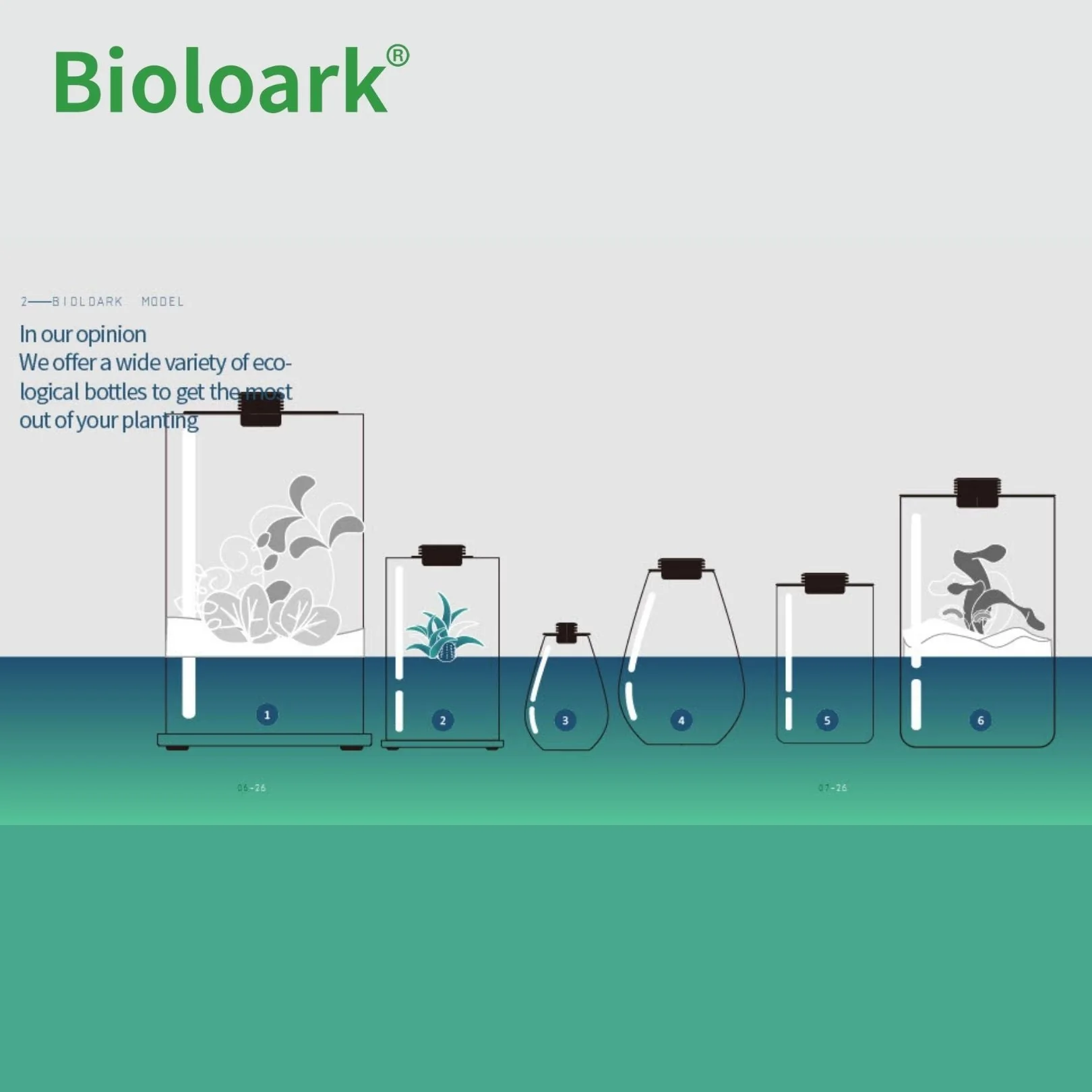 BIOLOARK - Tear Drop Terrarium (SD-175 / SD-200) - Image 5